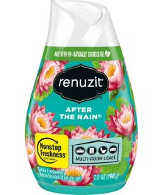 Renuzit Adjustable After The Rain 12/7oz/198g