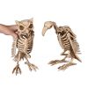 1 Pcs Vulture & 1 Pcs Owl Skeleton Halloween DÃ©cor