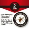 Eliminator Spider And Insect Glue Traps, Single Use Sticky Bug Catcher, Indoor Pest Control, 2 Count