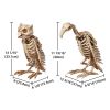 1 Pcs Vulture & 1 Pcs Owl Skeleton Halloween DÃ©cor
