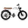 24inch Fat Tire 1000w Electric Cafe Racer Bike