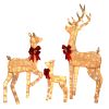 3-Piece Lighted Christmas Reindeer Family Set Outdoor Decorations